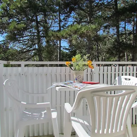 Codan & Fransi * 비비오네