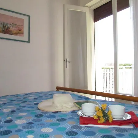 Codan & Fransi * 비비오네