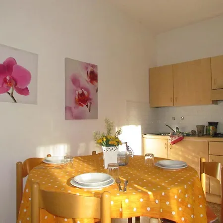 Codan & Fransi Apartment *