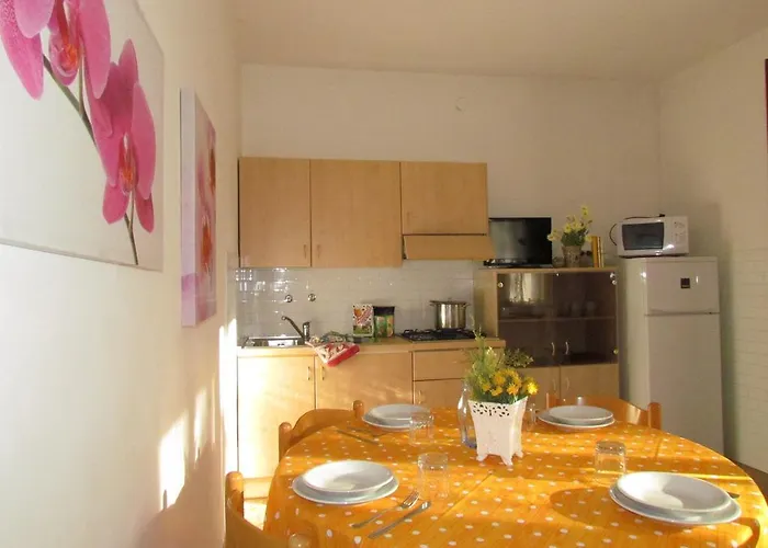 Codan & Fransi Apartment